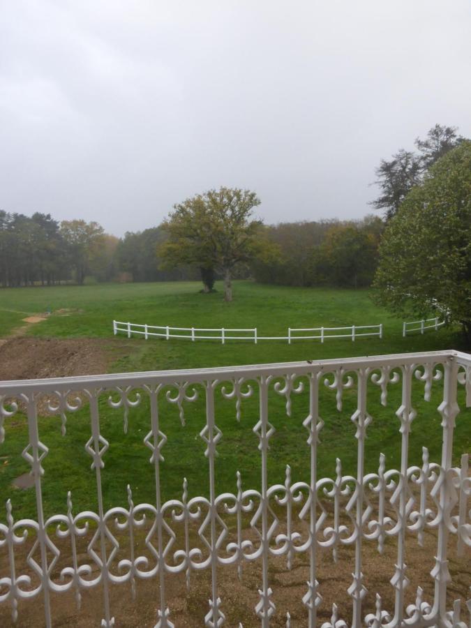 Gite La Chaumiere Le Chateau De La Brosse Villa Brinay  Exterior photo